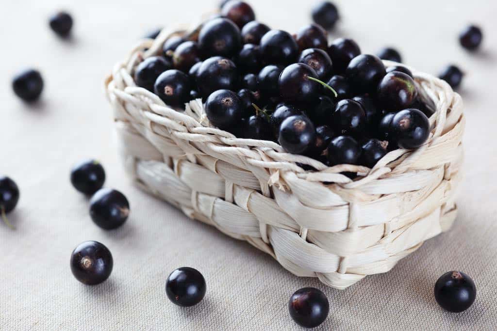 Cassis berries in basket