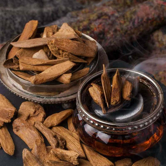 Egyptian Oud CocoSoy Candle - White Collection