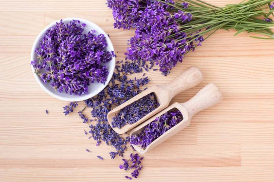 Lavender buds in a white bowl with wooden scoops
