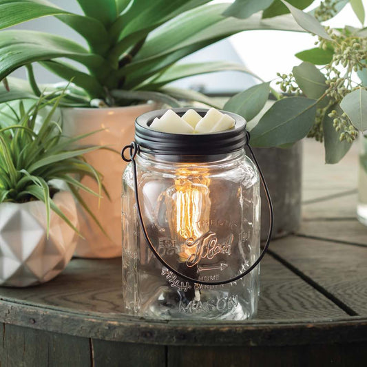 My Black Dog Mason Jar Edison Bulb Wax Melt Warmer with plants