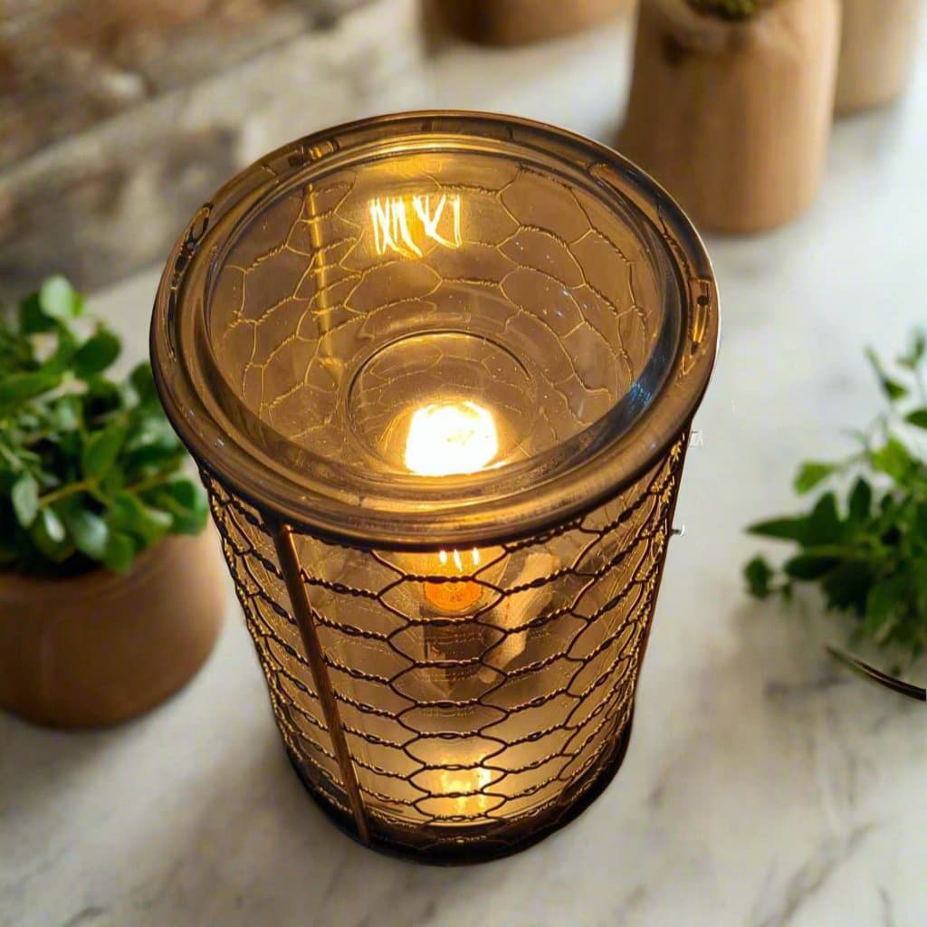 Chicken Wire Edison Bulb Illumination Melt Warmer