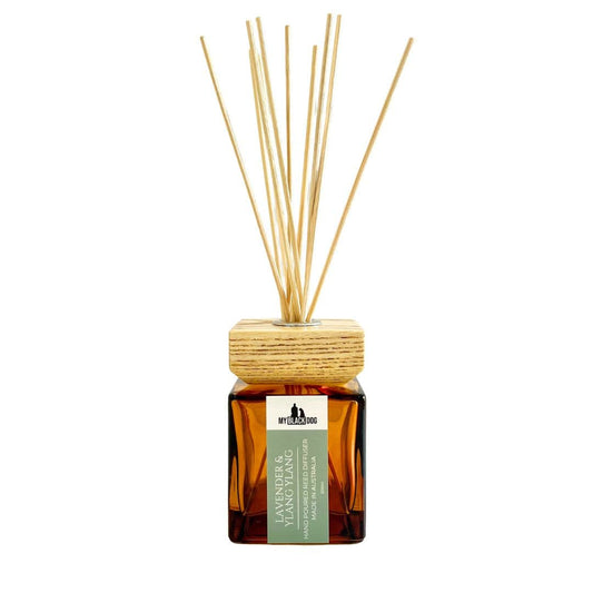 My Black Dog lavender and ylang ylang scented reed diffuser in a square amber bottle with wood lid, on a white background.