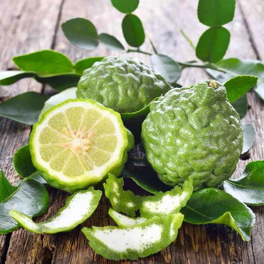 Bergamot 