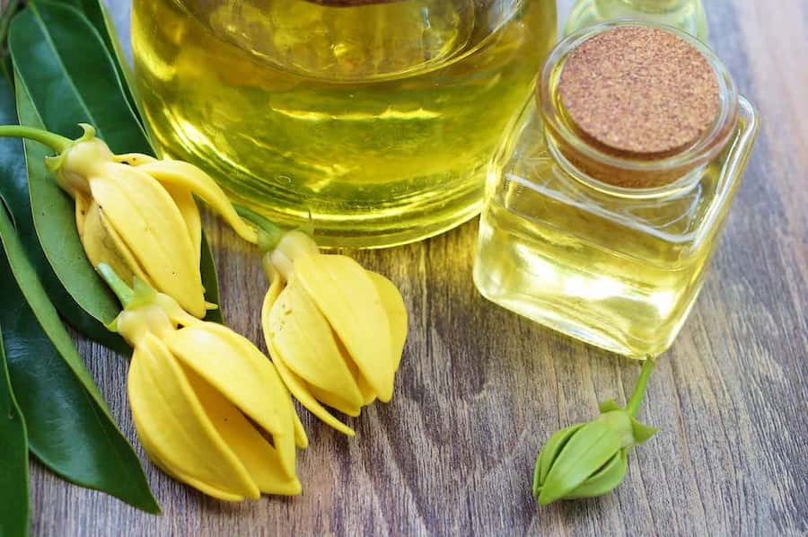 Ylang Ylang flowers with bottles of oil